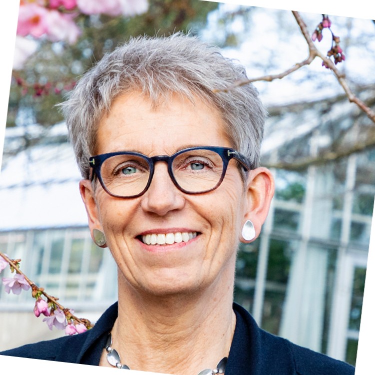 Susanne Iwarsson